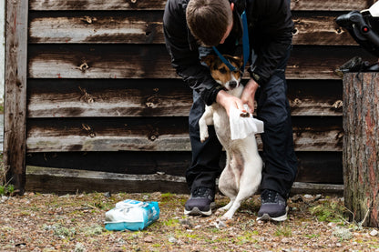 UltraGrime Life - Pet Care (20 / 40 / 80 XXL wipes)